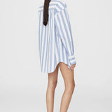 Anine Bing Plaza Shirt in White and Blue Stripe