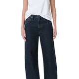 Agolde Low Curve Jean in Pendulum
