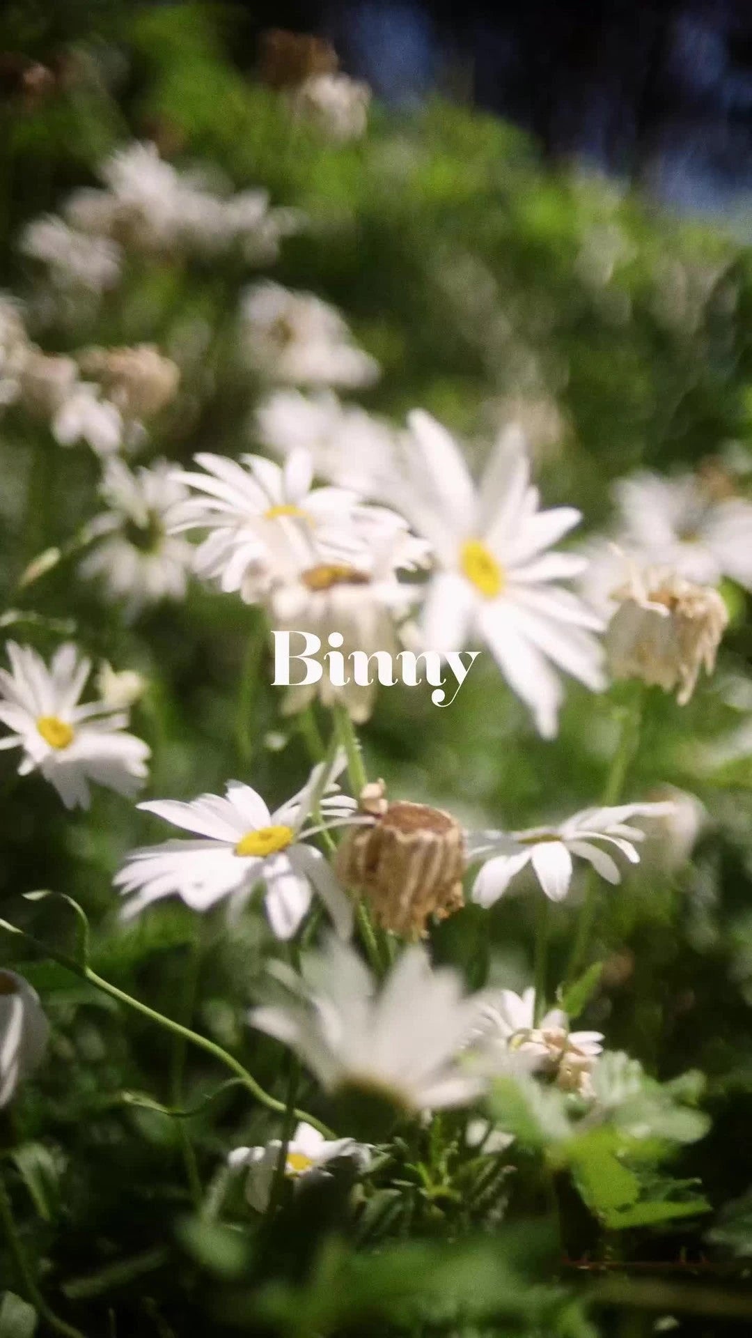 BINNY