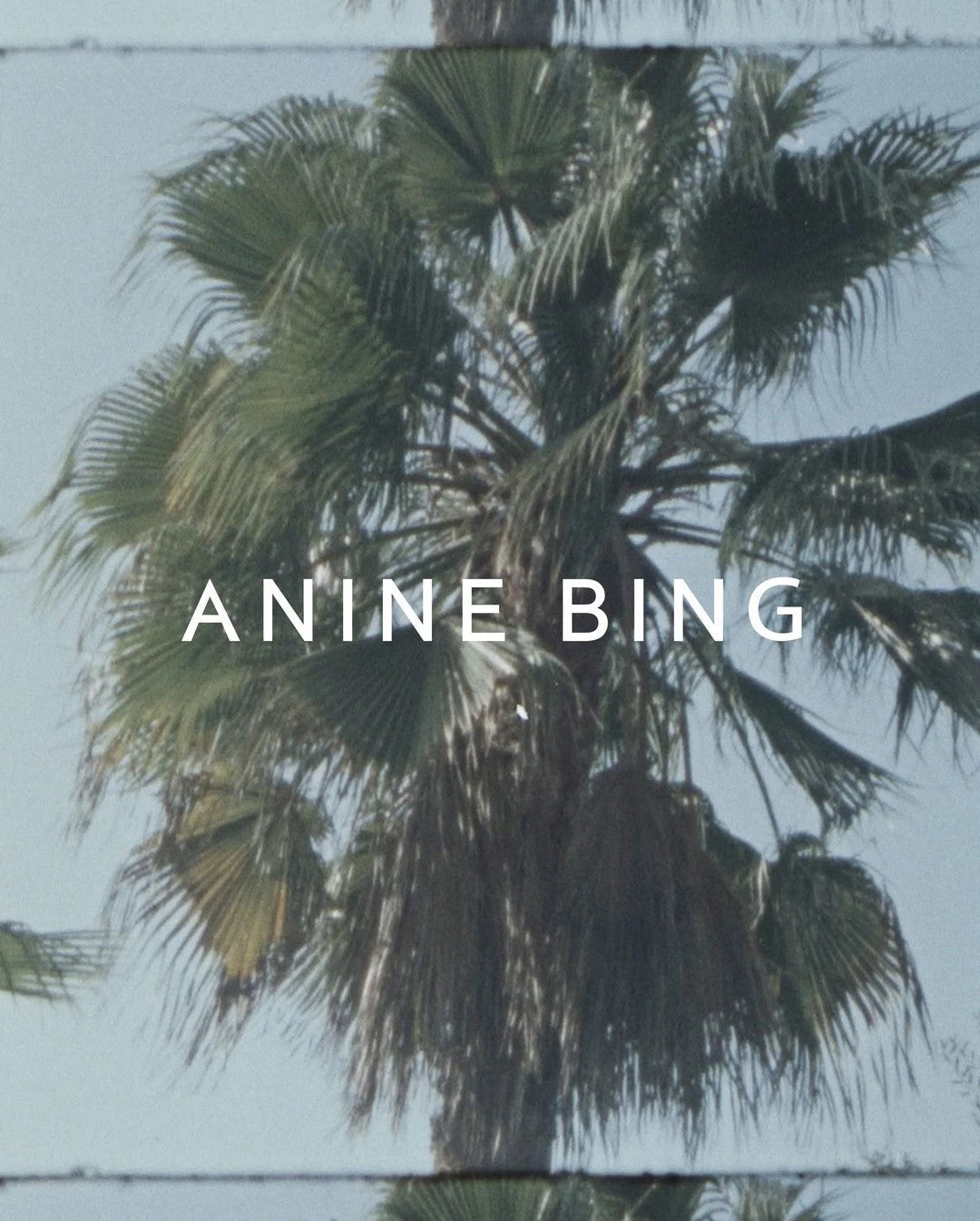 ANINE BING