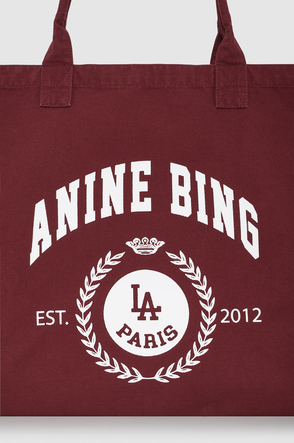 Anine Bing Leo Canvas Tote Collegiate in Fig - detail view