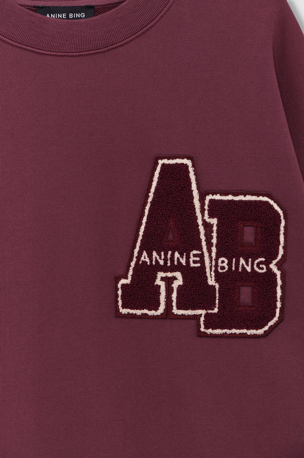Anine Bing Miles Sweatshirt Letterman in Fig - styled look
