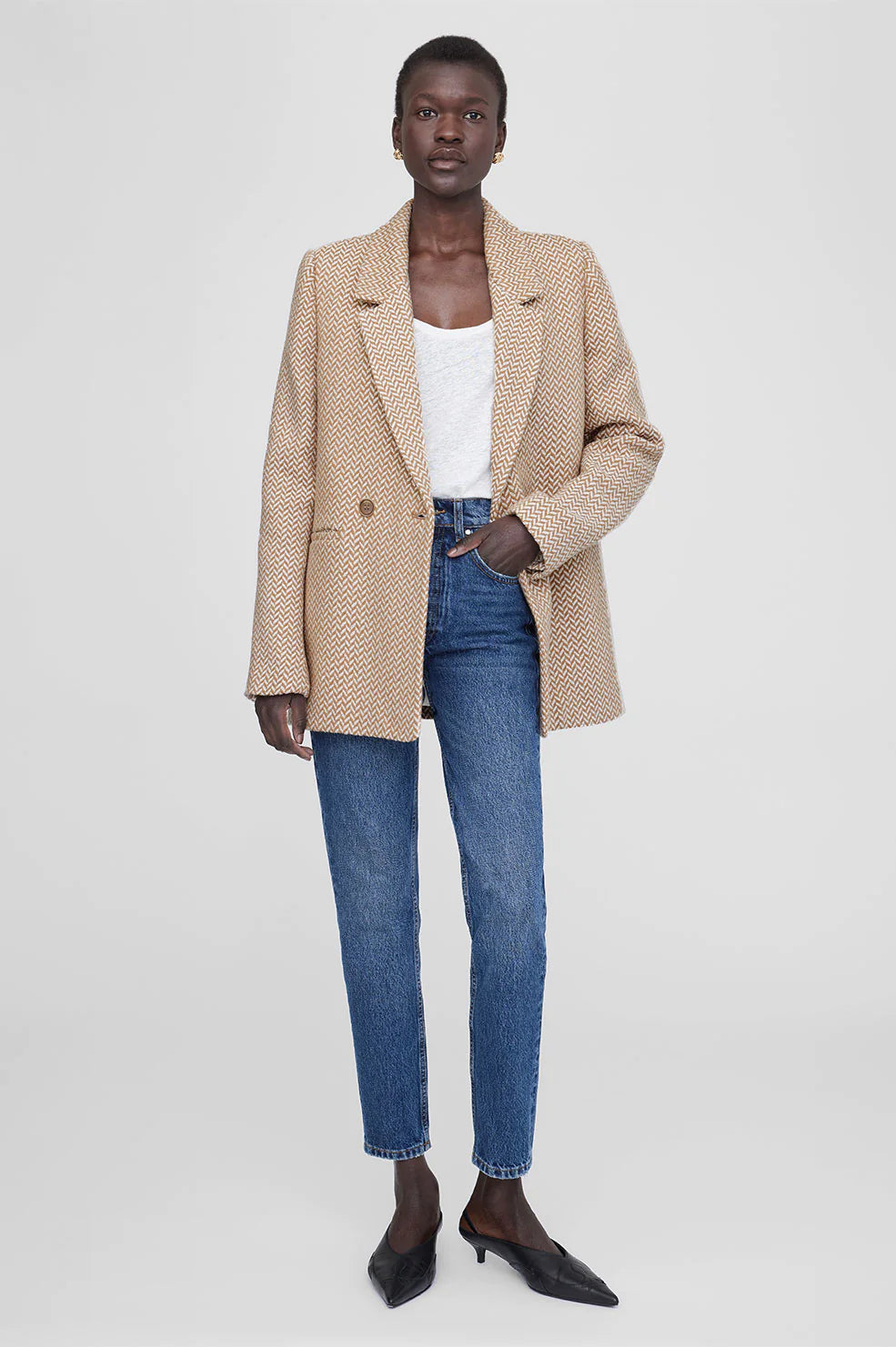 Anine Bing Fishbone Blazer in Tan And Cream Denim Iniquity