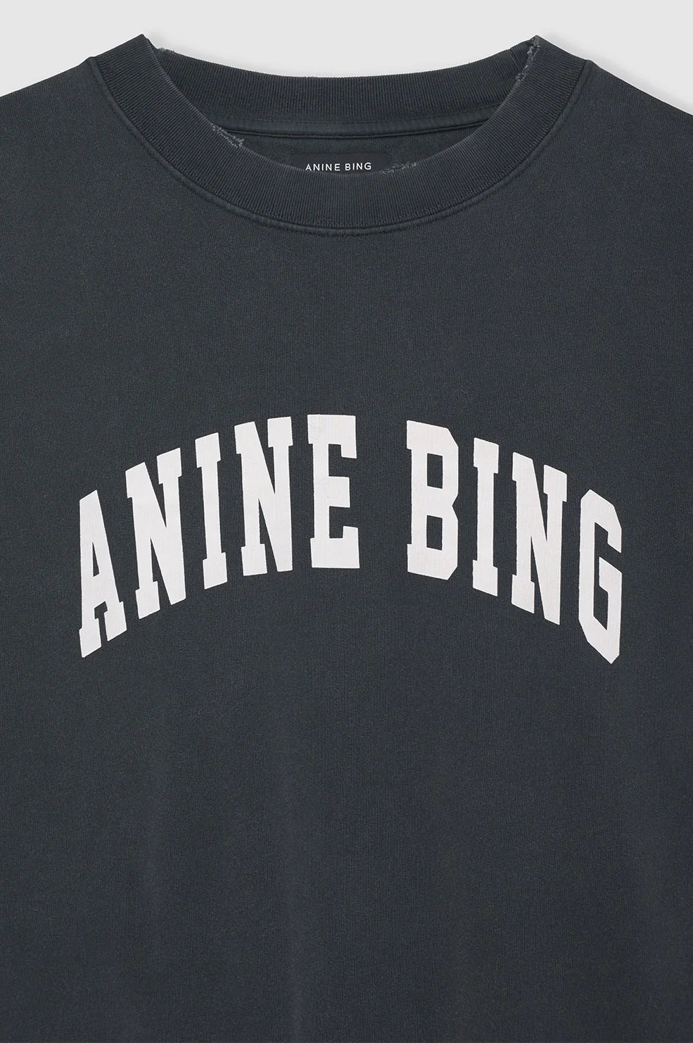 Anine Bing Tyler Sweatshirt - Washed Black