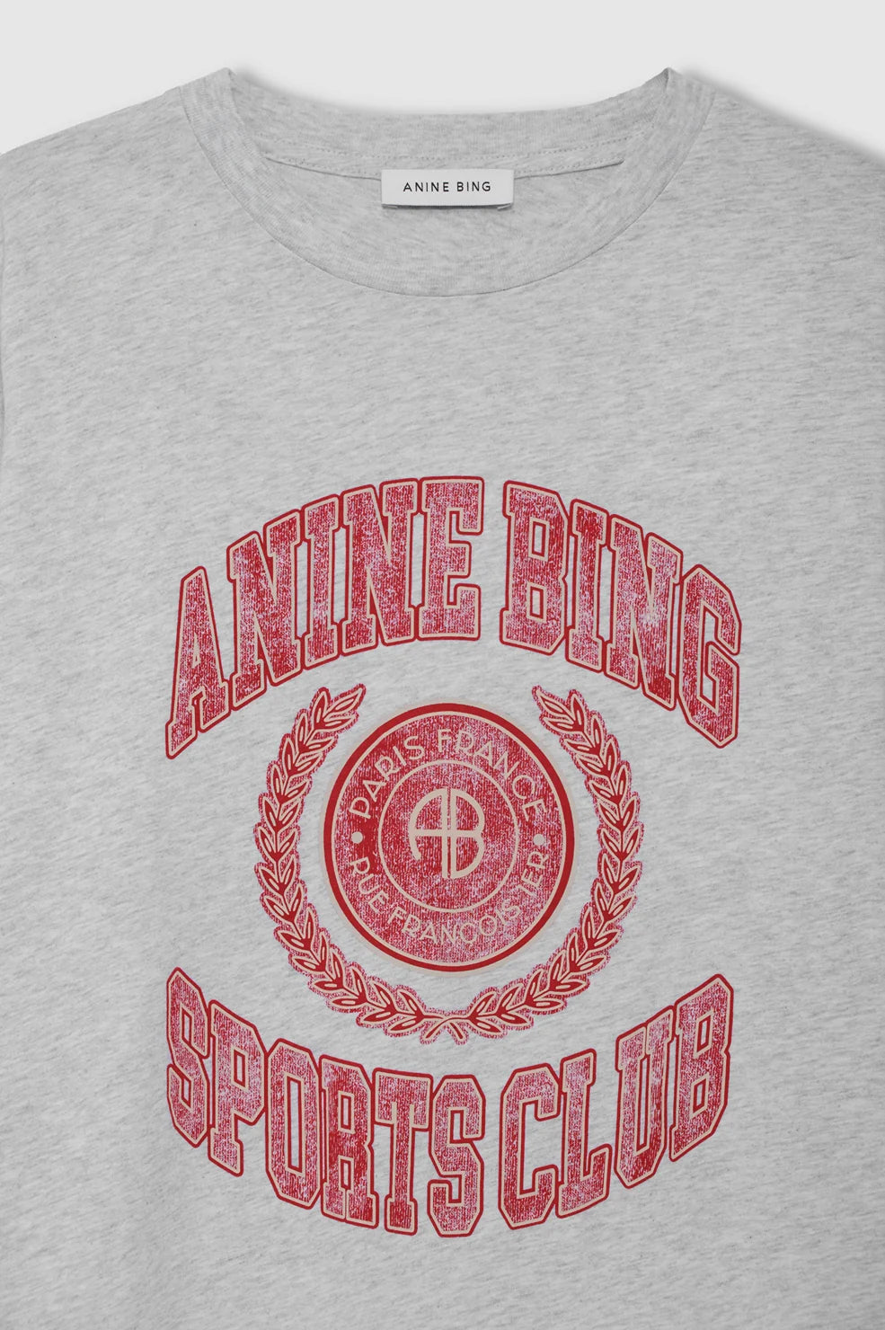 Anine Bing Cade Tee Collegiate in Grey - styled look