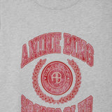 Anine Bing Cade Tee Collegiate in Grey - styled look