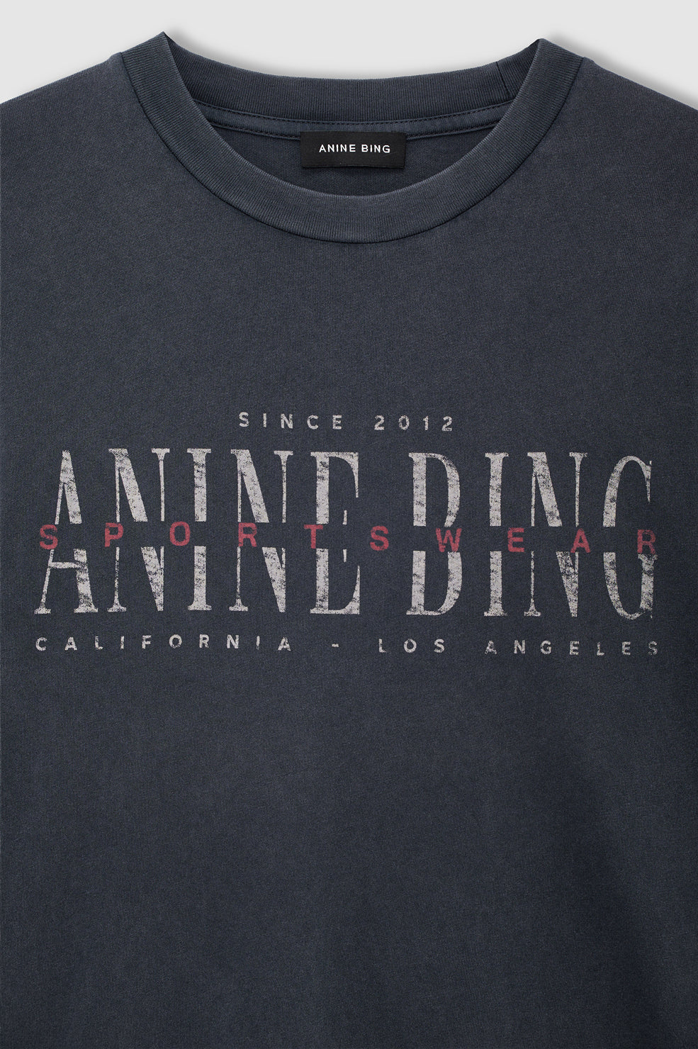 Anine Bing Cade Tee Sport Club in Washed Black - styled look