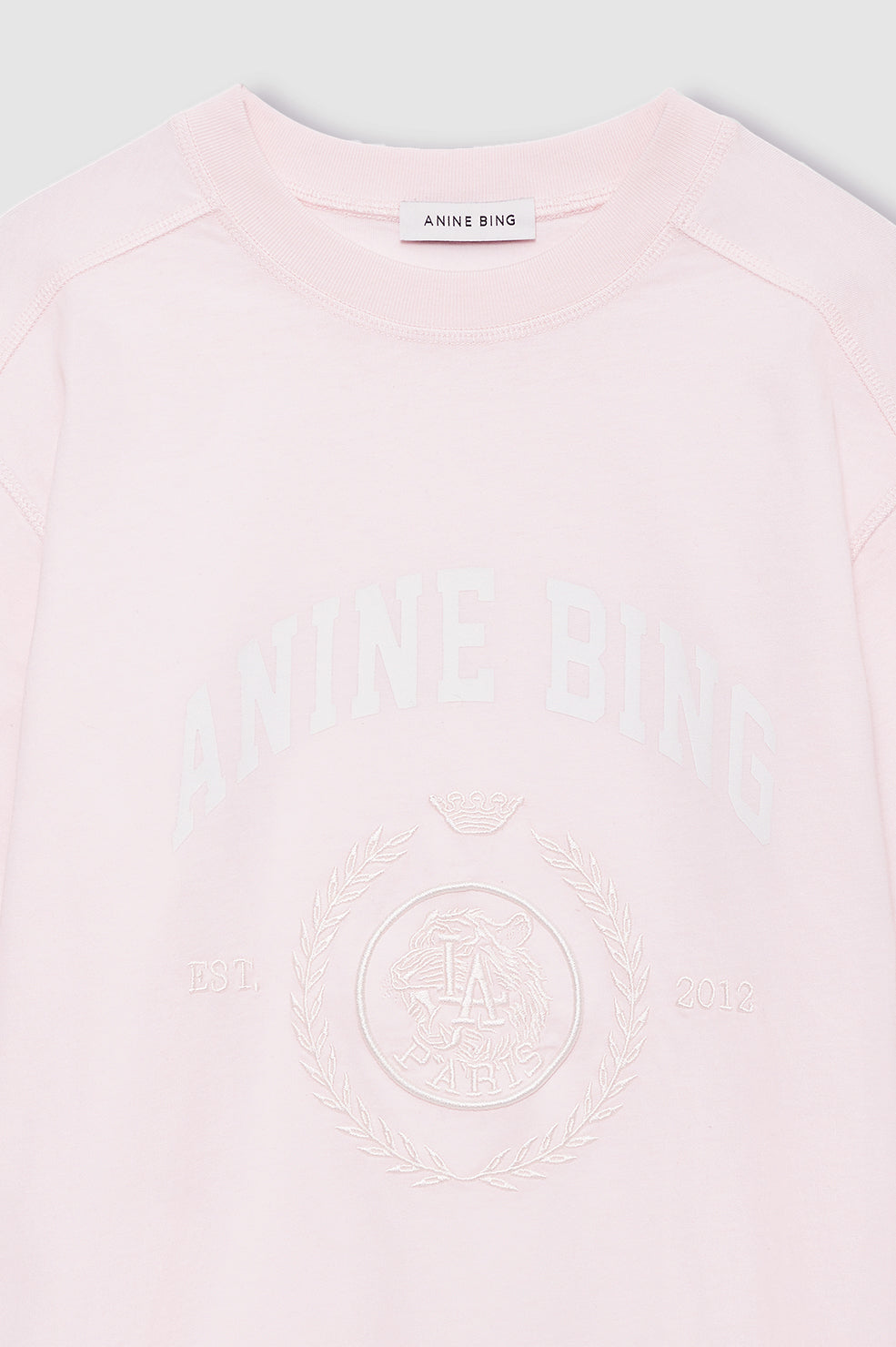 Anine Bing Jaylin Tee Collegiate in Powder Pink - outfit inspiration