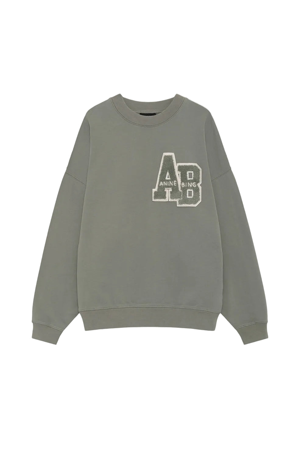 Anine Bing Miles Sweatshirt Letterman in Sage