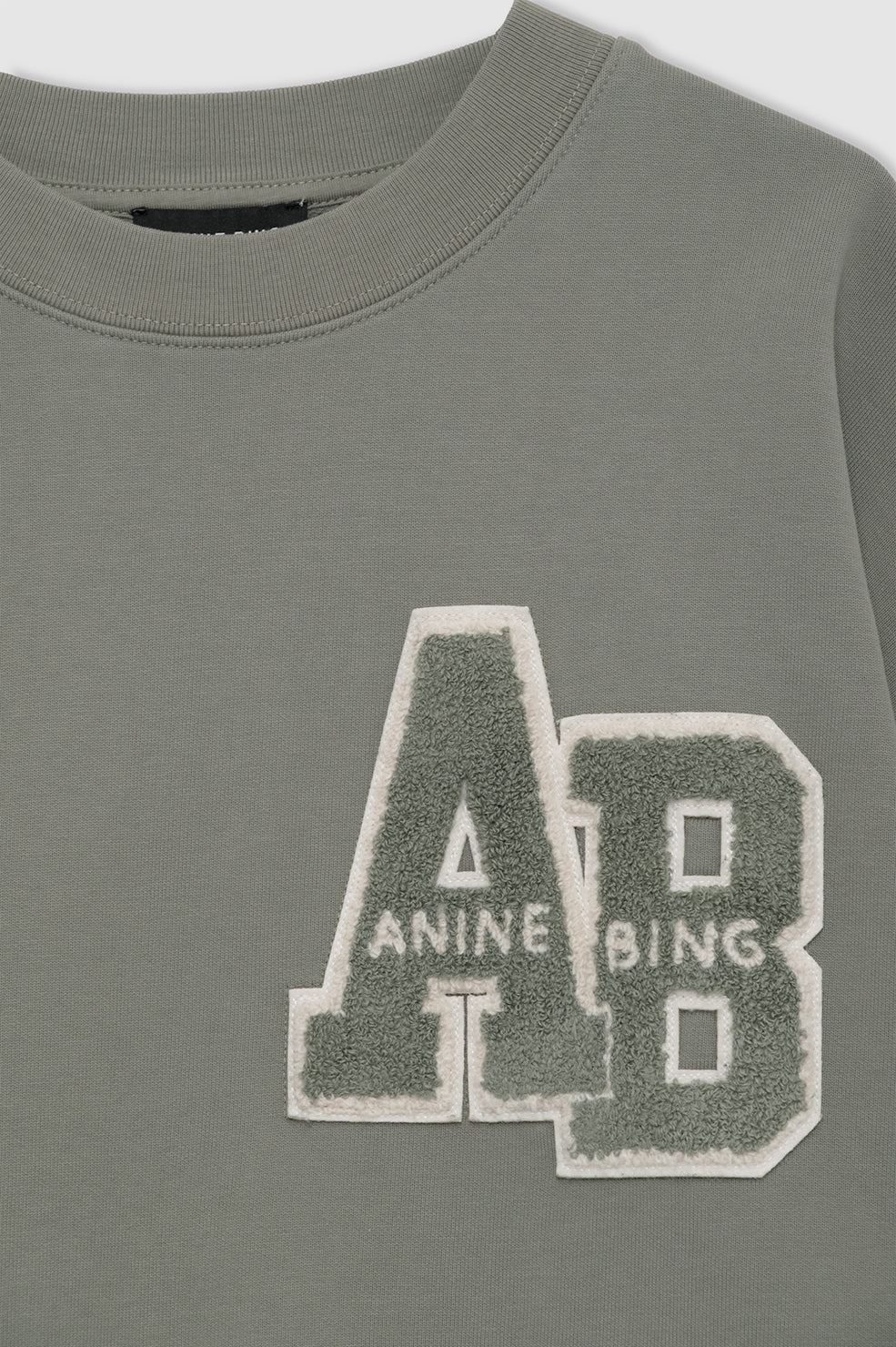 Anine Bing Miles Sweatshirt Letterman in Sage