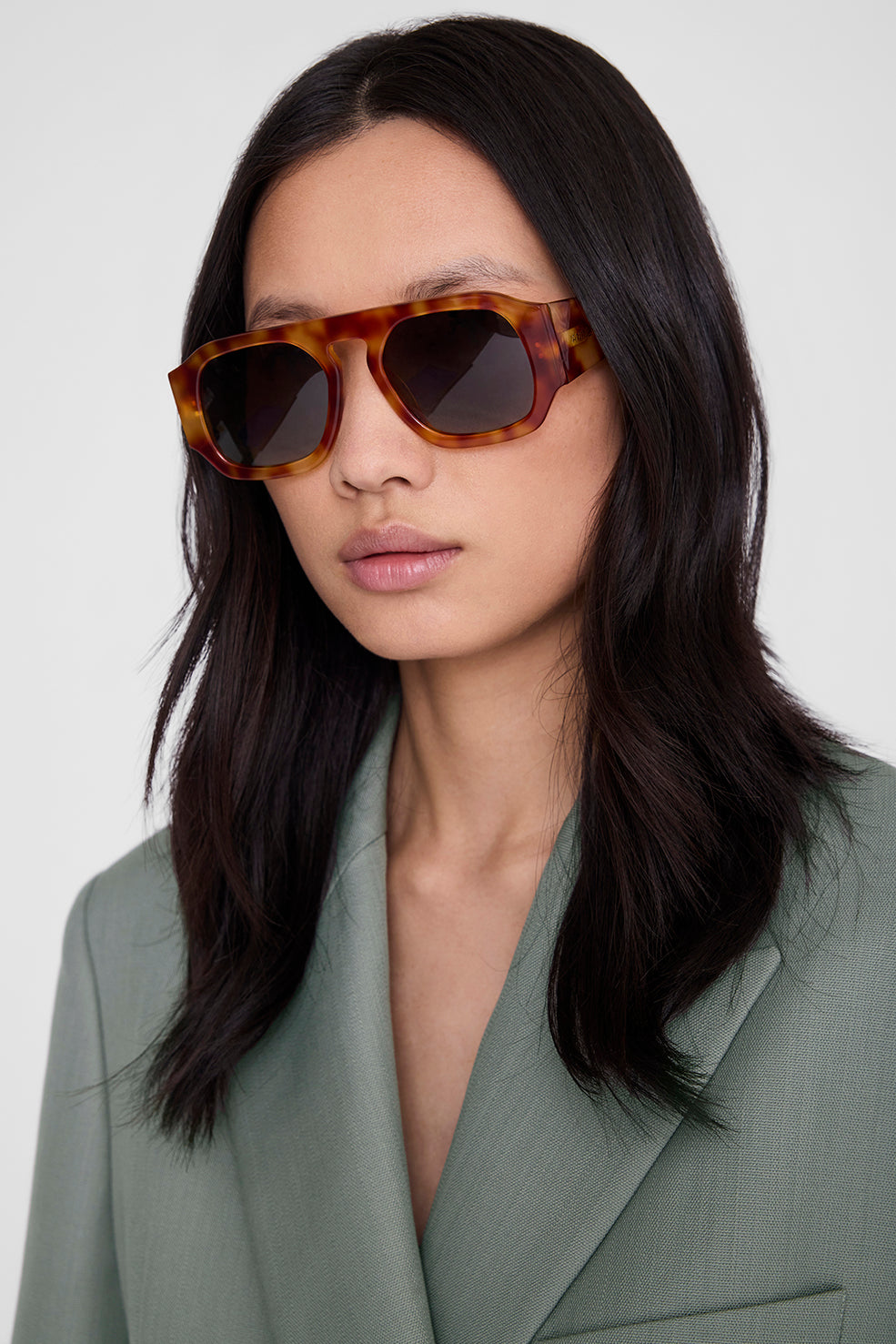Anine Bing Preston Sunglasses in Tortoise