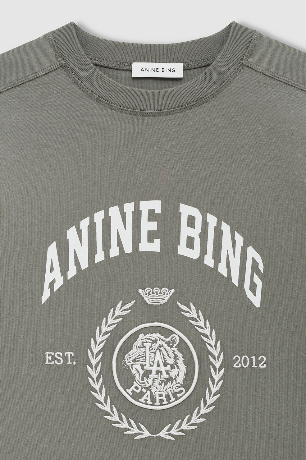 Anine Bing Jaylin Tee Collegiate in Washed Sage