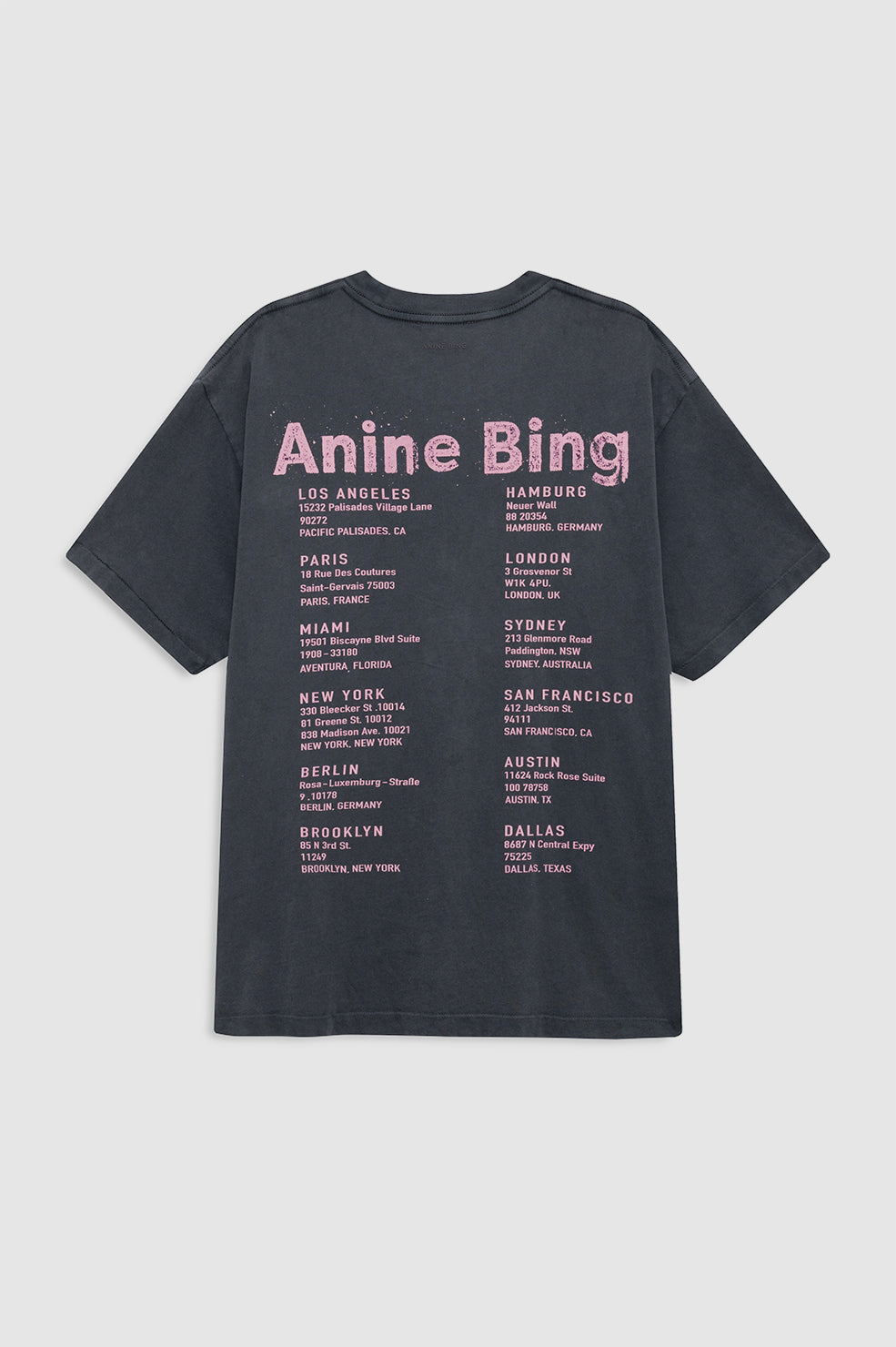 Anine Bing Cade Tee Smiley in Washed Grey - outfit inspiration
