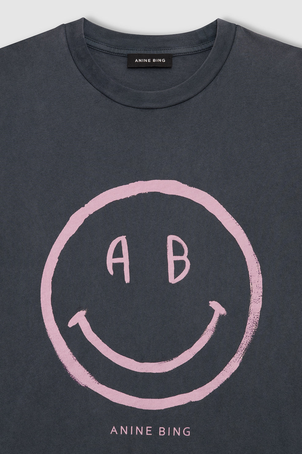 Anine Bing Cade Tee Smiley in Washed Grey - styled look