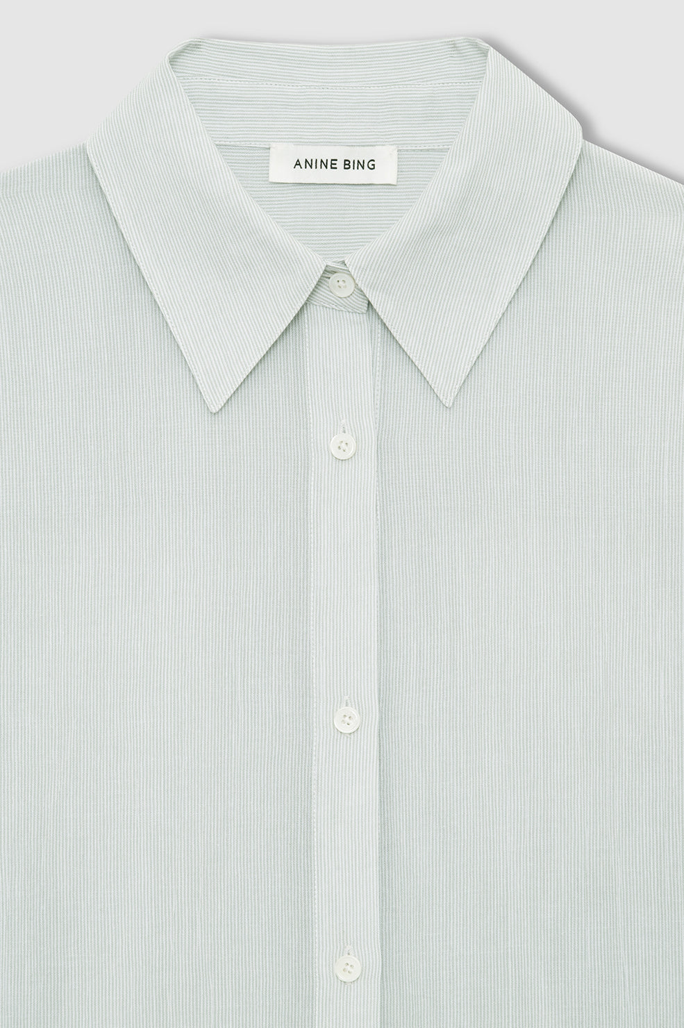 Anine Bing Noemi Dress in Green and White Mini Stripe - styled look