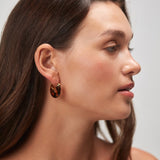 Anni Lu Big Swell Hoops in Golden Tortoise