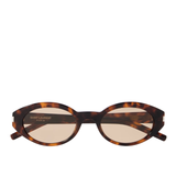 Saint Laurent SL567 Sunglasses in Havana