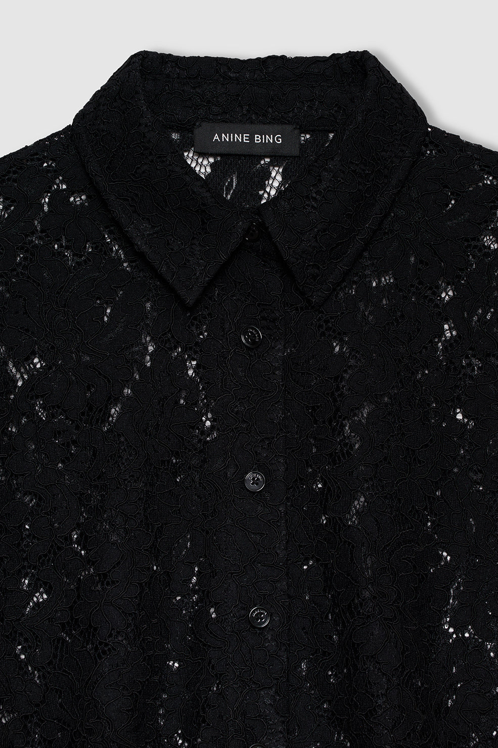 Anine Bing Shayna Top in Black Lace - styled look