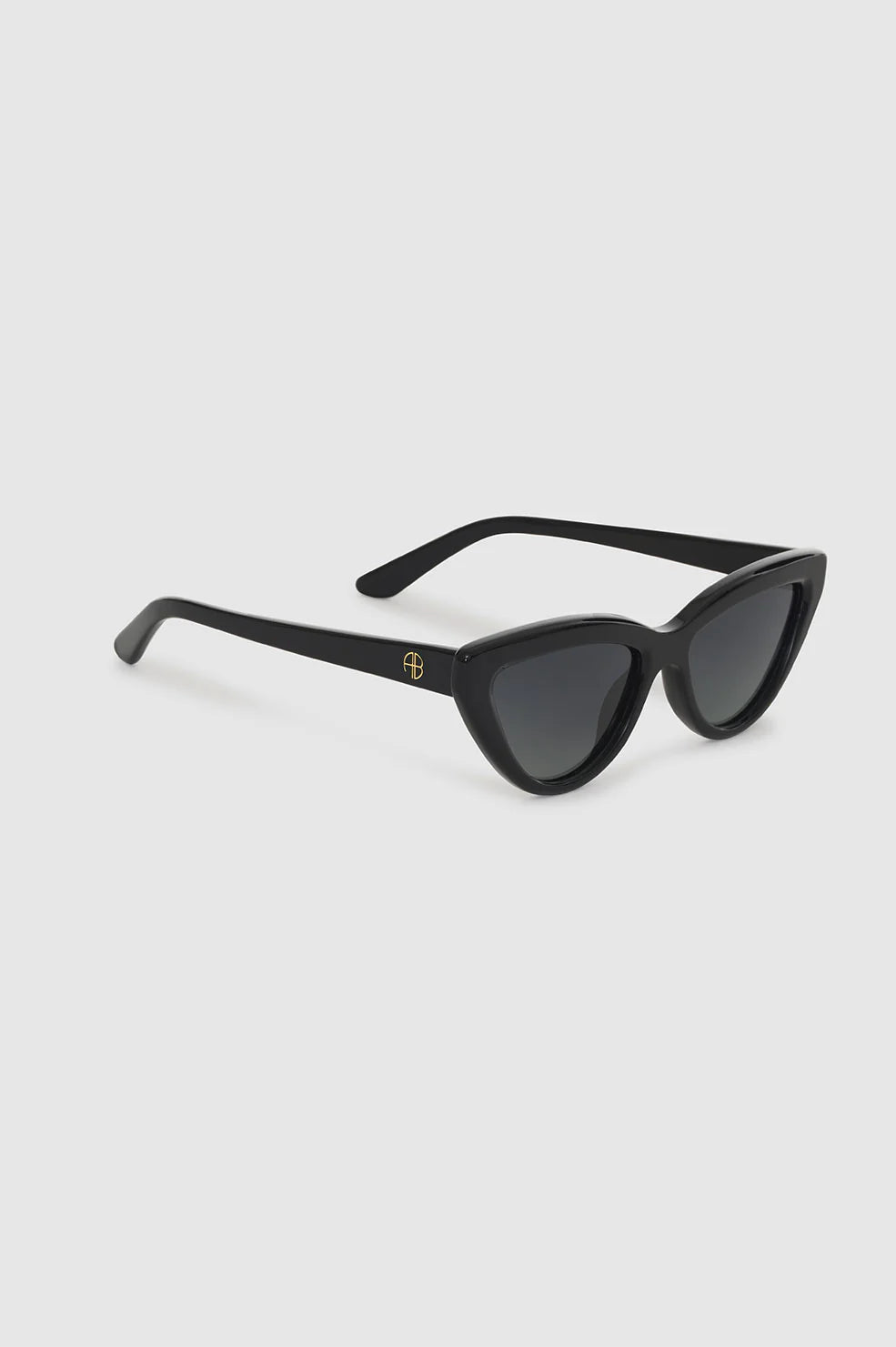 Anine Bing Sedona Sunglasses in Black