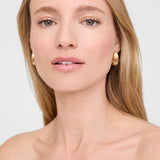 Anine Bing Small Ribbed Drop Earrings in Gold