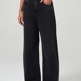 Agolde Low Curve Jean in Black Tar