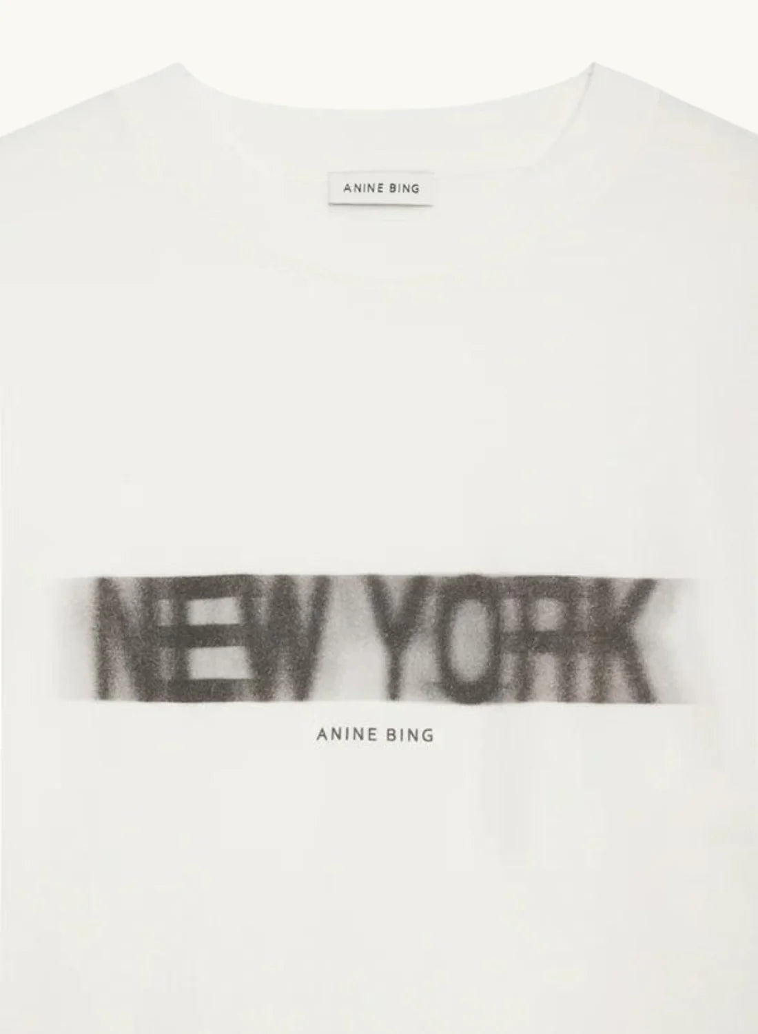 Anine Bing Cason Tee Blur in Ivory