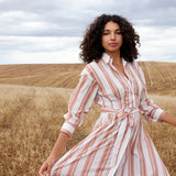 Aston Studio Arlet Dress in Peony and Antique Stripe