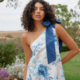 Aston Studio Mila Dress in Cerulean Peony
