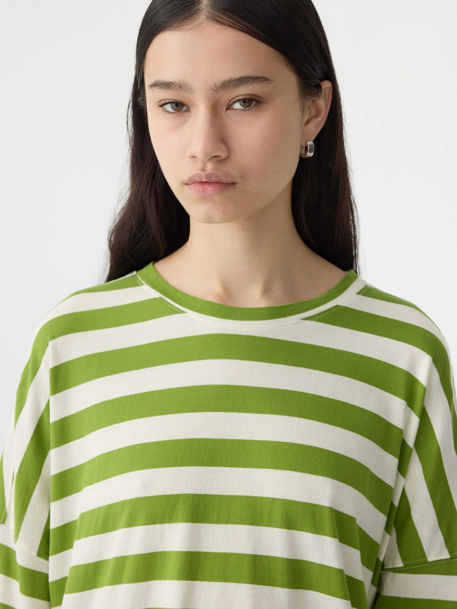 Bassike Stripe Side Step Short Sleeve T-Shirt in Green and Natural