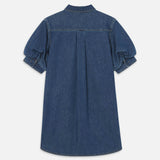 Frame The Play Dress in Antonia