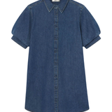 Frame The Play Dress in Antonia