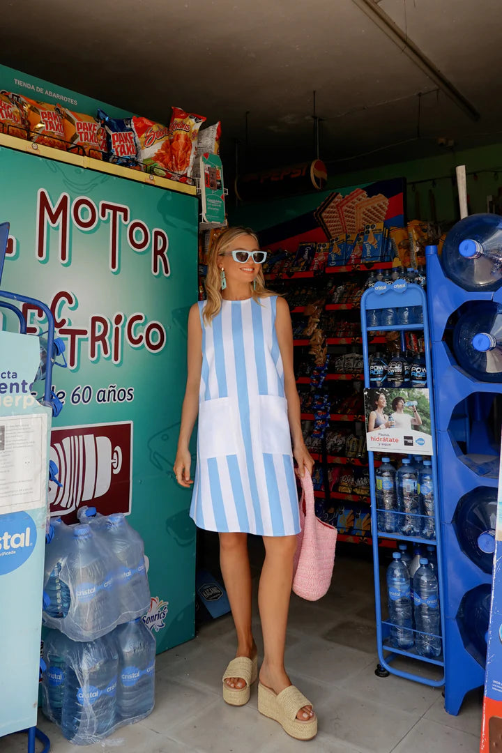 Binny Central Markets Shift Dress in Blue and White Stripe