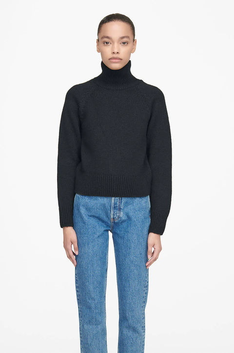 Anine bing discount nicolette sweater