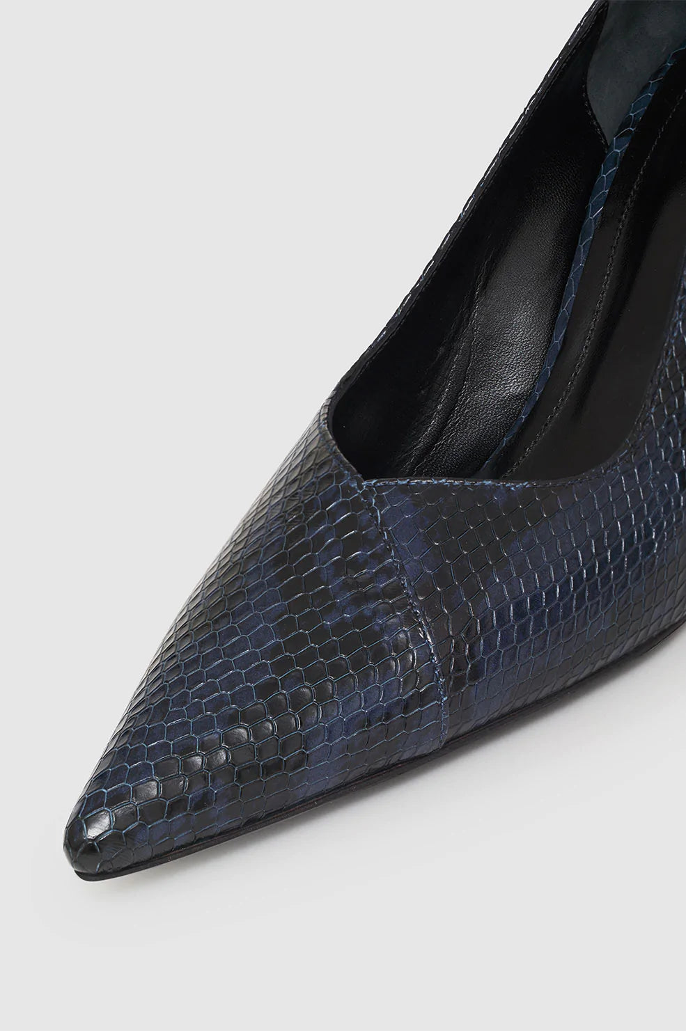 Anine Bing Devon Pumps in Blue Snake